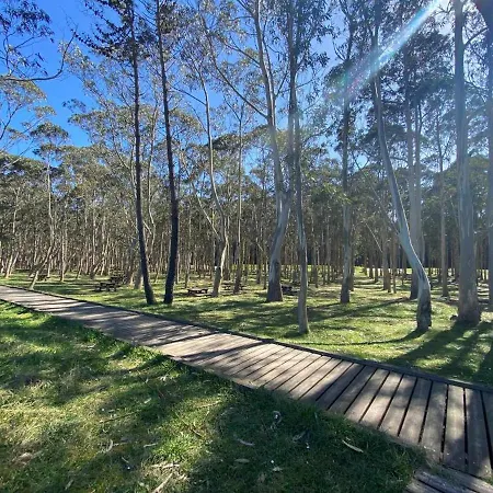 La Magdalena, Piso En Vut-3402-as Appartement