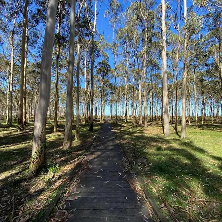 La Magdalena, Piso En Vut-3402-as Apartamento